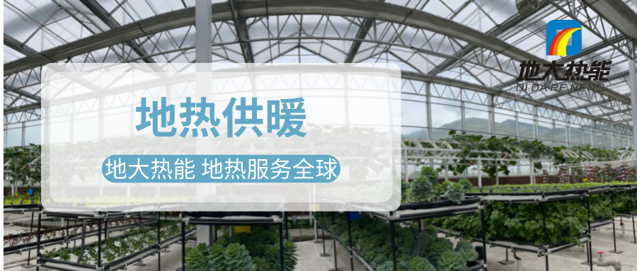 發(fā)揮地?zé)豳Y源優(yōu)勢，地?zé)徂r(nóng)業(yè)實(shí)現(xiàn)花卉產(chǎn)業(yè)特色發(fā)展 | 地大熱能 地?zé)岱?wù)全球
