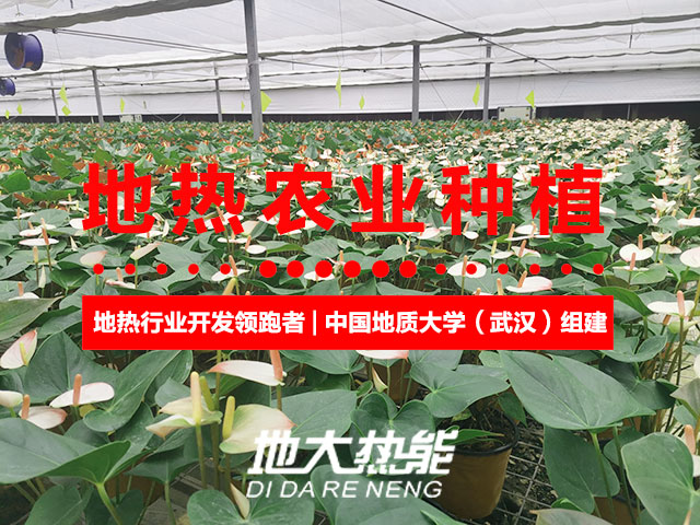濟(jì)南：“地?zé)崮?農(nóng)業(yè)”產(chǎn)業(yè)融合，讓地?zé)崮苷嬲盁帷逼饋?lái)-地大熱能
